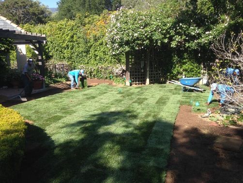 Landscaping,Gardening,Backyard,Front Yard,Clean up Services,